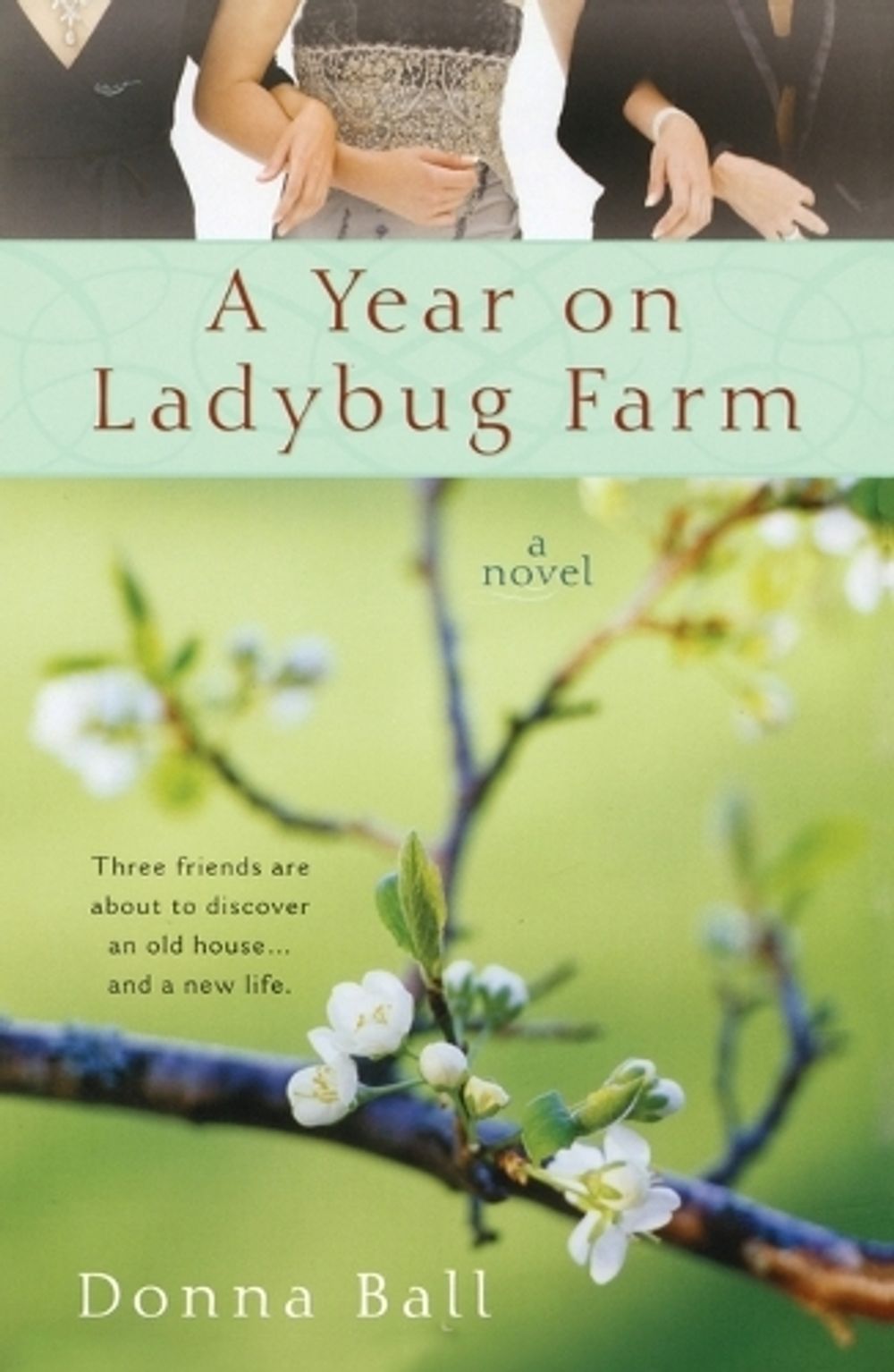 A Year on Ladybug Farm by Donna Ball - ISBN: 9780425225875