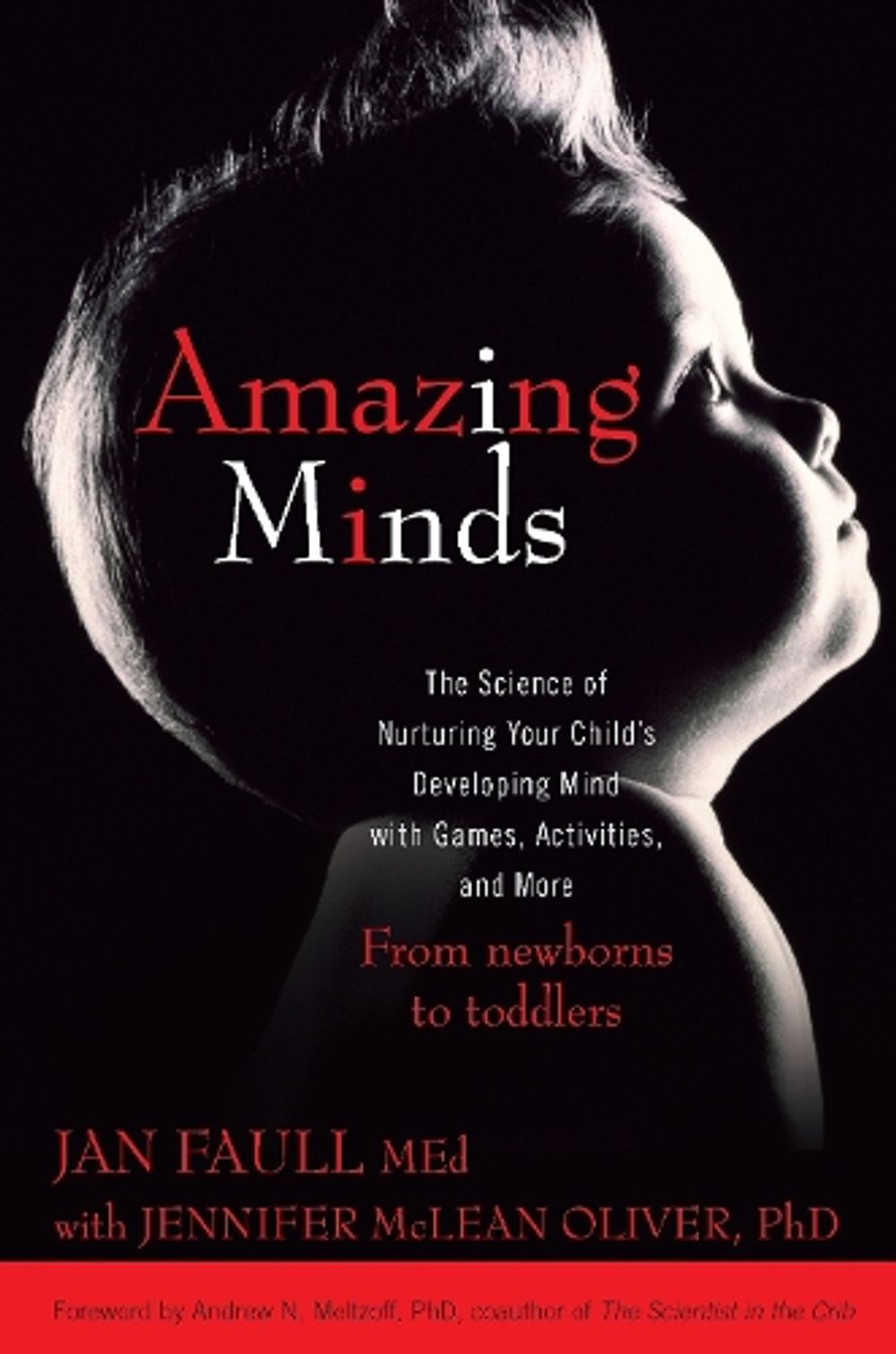 Amazing Minds by Jan Faull - ISBN: 9780425232248