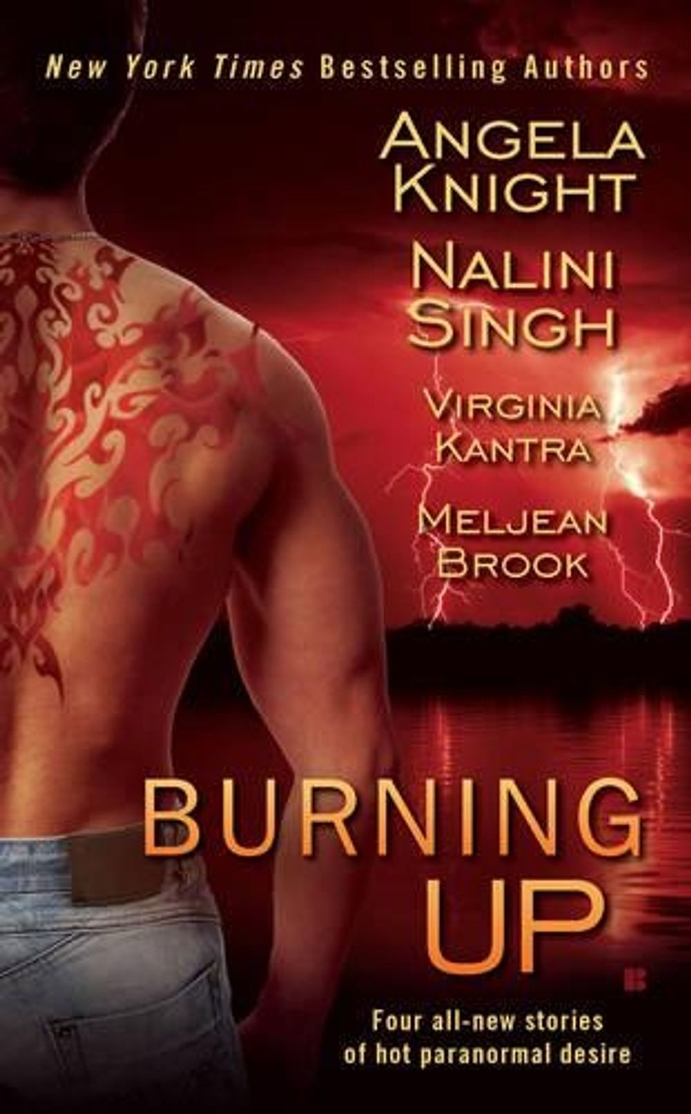 Burning Up by Angela Knight - ISBN: 9780425235959