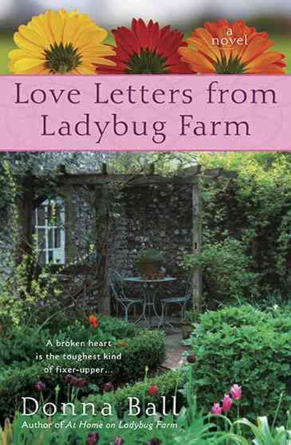 Love Letters from Ladybug Farm by Donna Ball - ISBN: 9780425237175