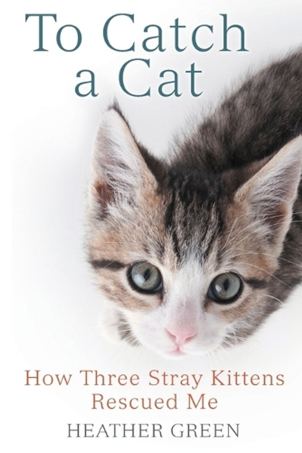 To Catch a Cat by Heather Green - ISBN: 9780425281987