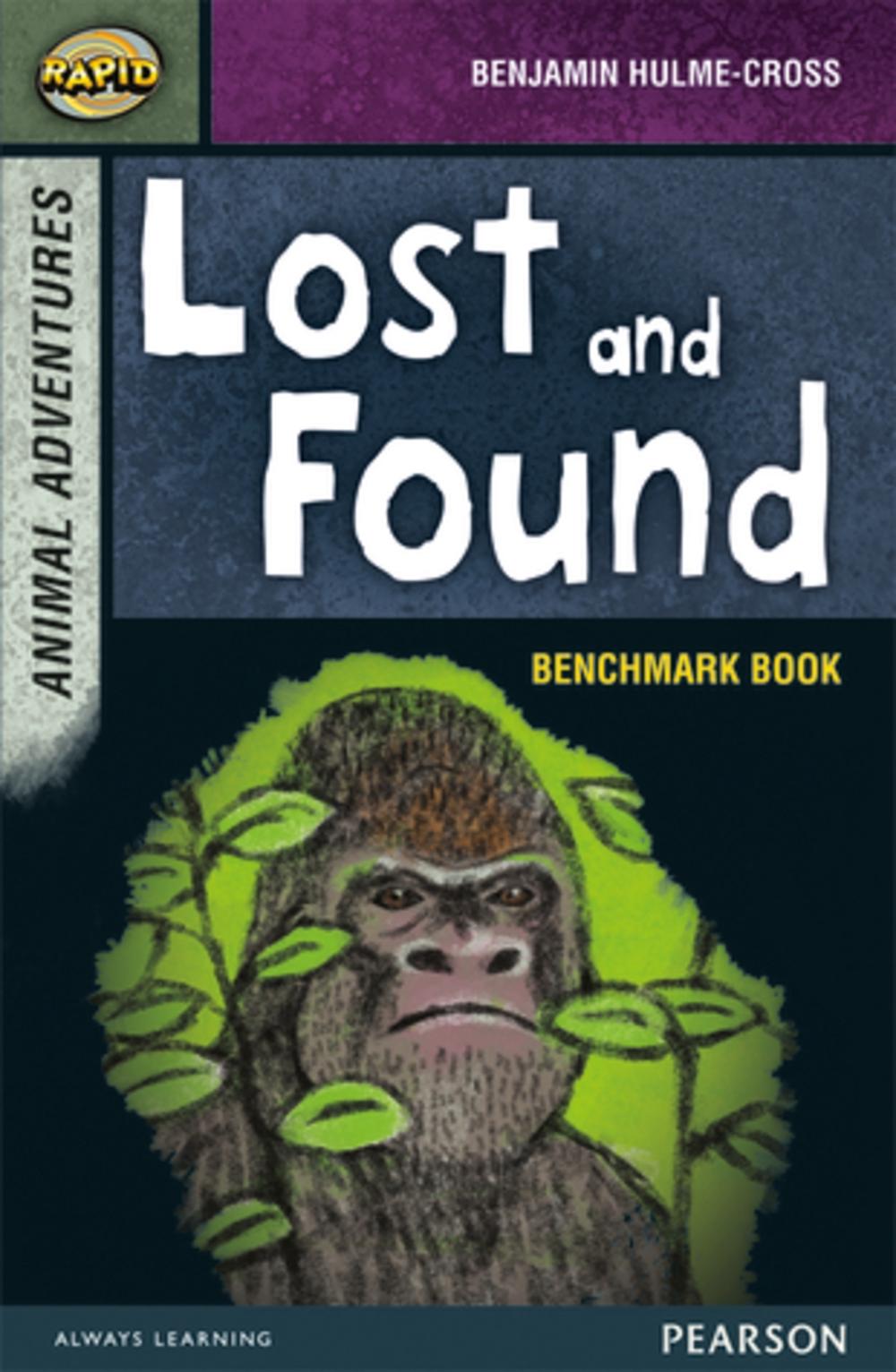 Rapid Stage 7 Assessment book: Lost and Found, 9780435152291