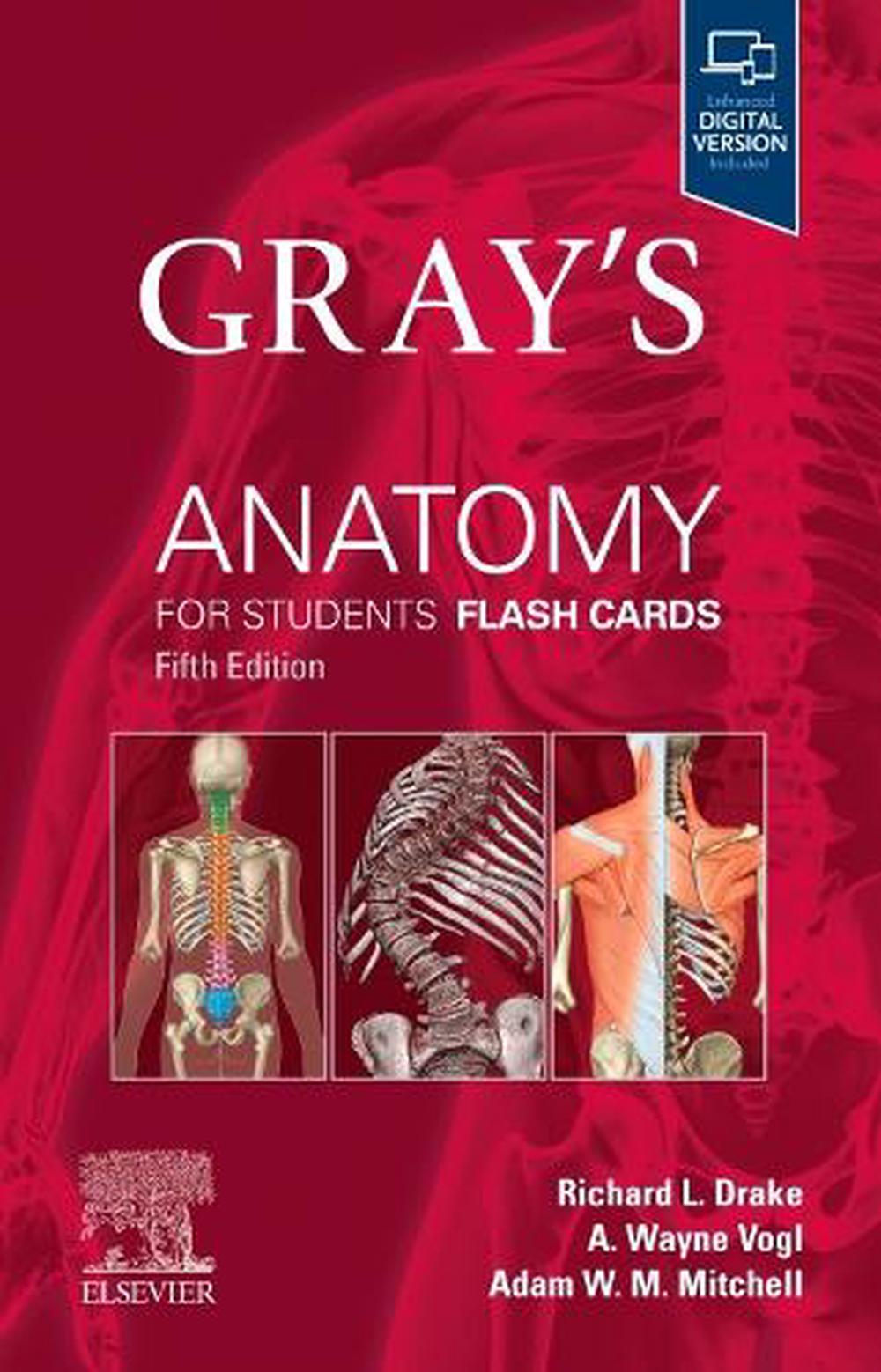 Gray's Anatomy for Students Flash Cards, 9780443105142