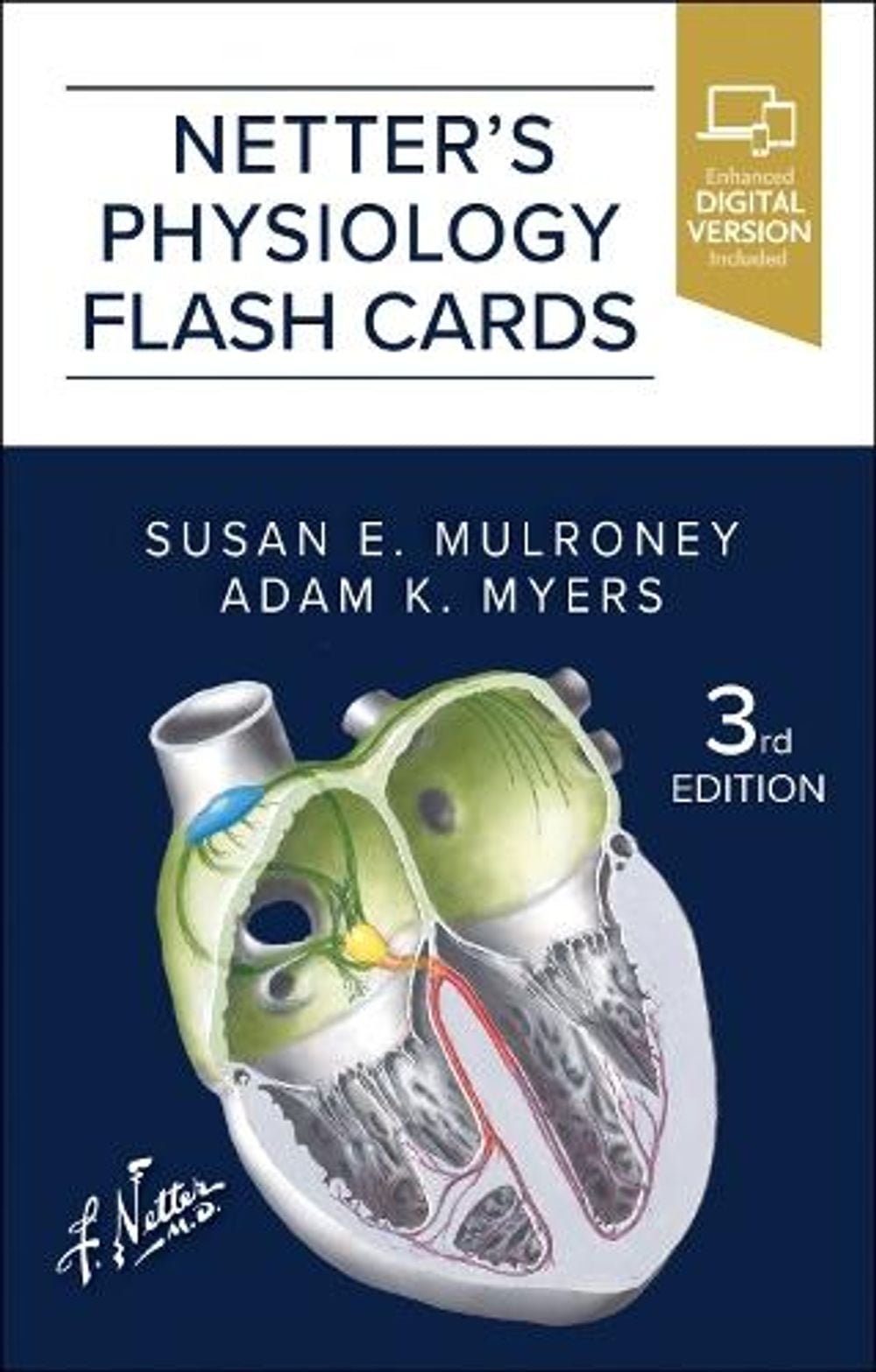 Netter's Physiology Flash Cards, 3rd Edition by Susan Mulroney - ISBN: 9780443113444