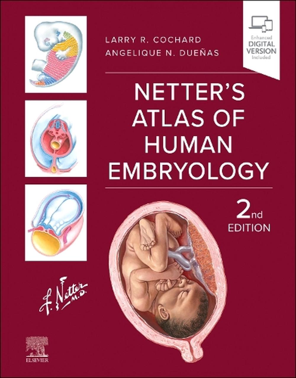 Netter's Atlas of Human Embryology, 9780443117619