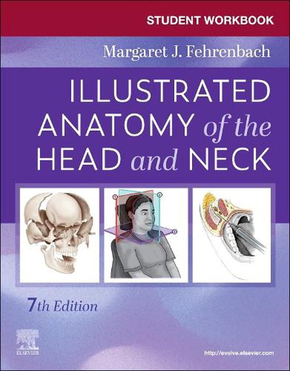 Student Workbook for Illustrated Anatomy of the Head and Neck, 7th Edition by Margaret J. Fehrenbach - ISBN: 9780443125157