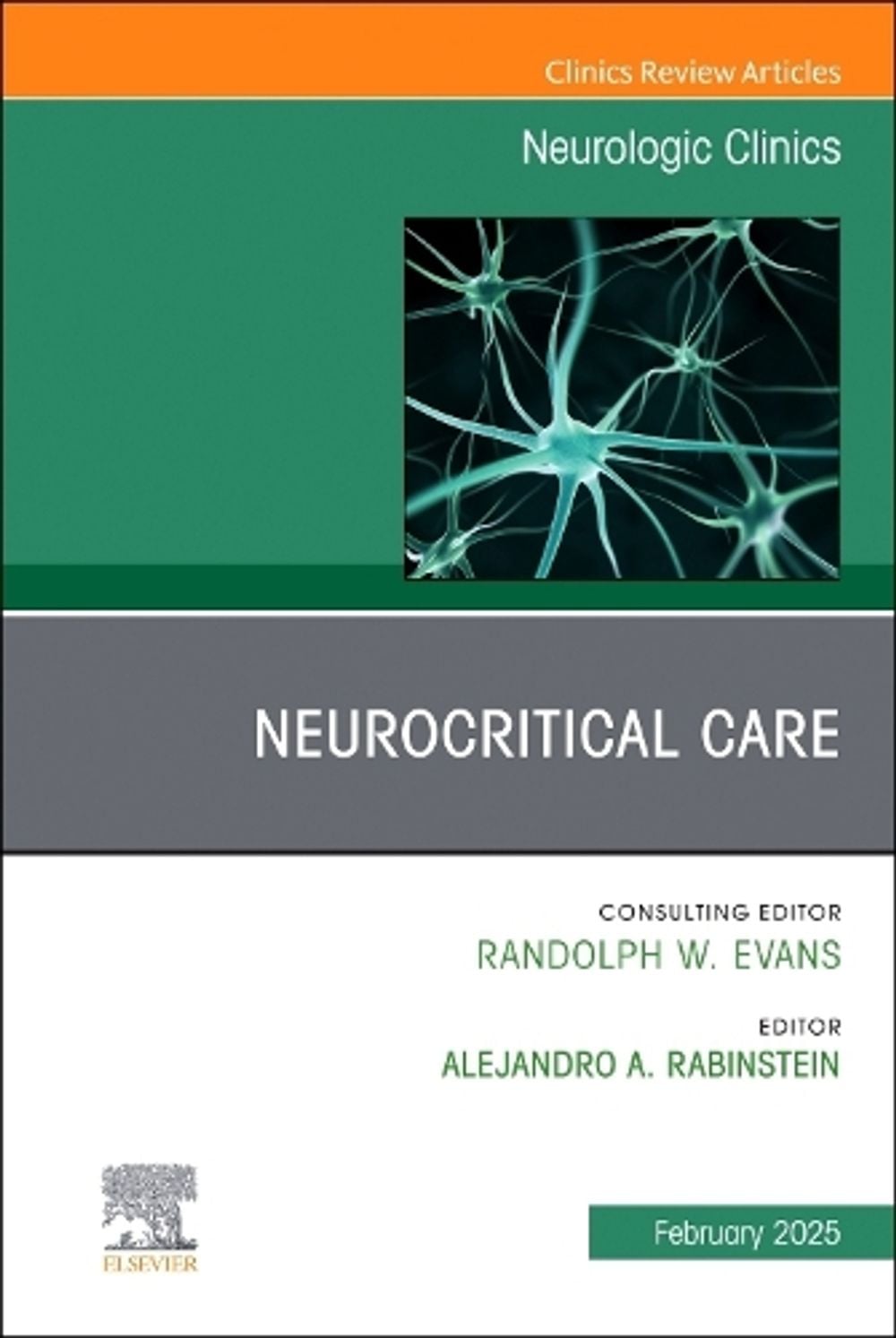 Neurocritical Care, An Issue of Neurologic Clinics by Alejandro A. Rabinstein - ISBN: 9780443130731