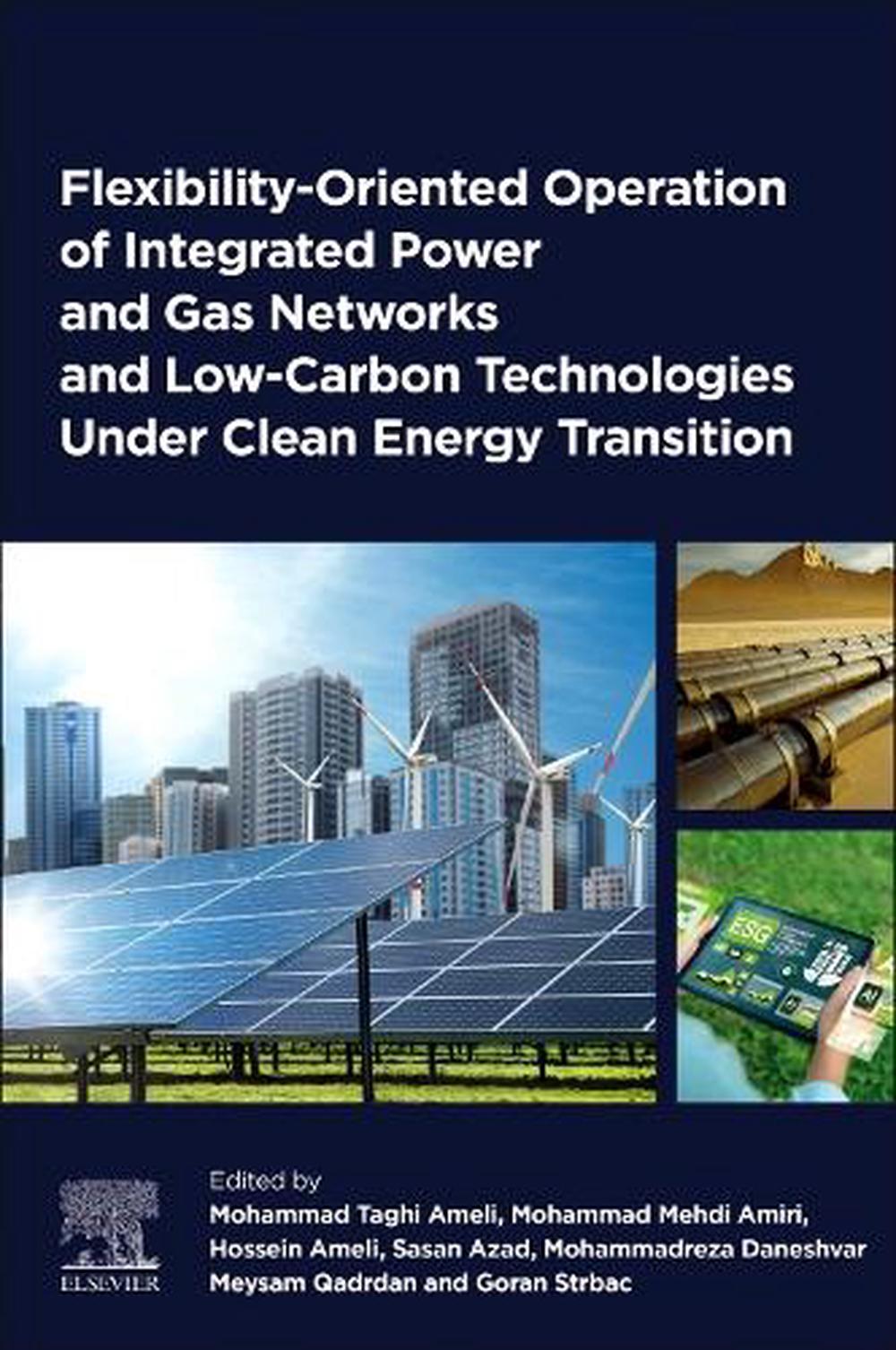 Flexibility-Oriented Operation of Integrated Power and Gas Networks and ...