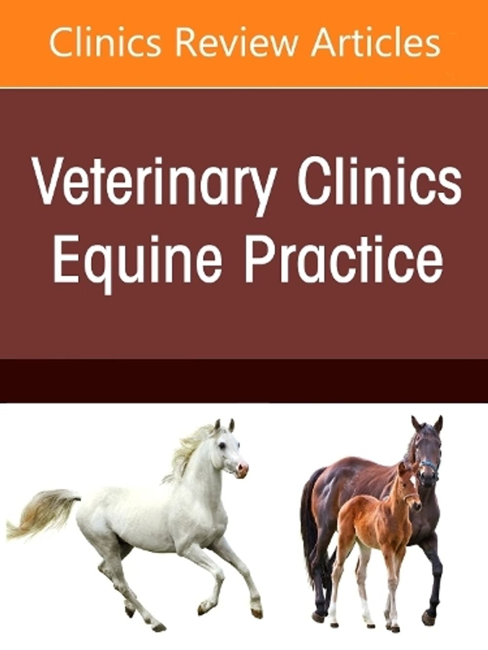 Equine Endocrine Diseases, An Issue of Veterinary Clinics of North America: Equine Practice by Katarzyna Dembek - ISBN: 9780443471483