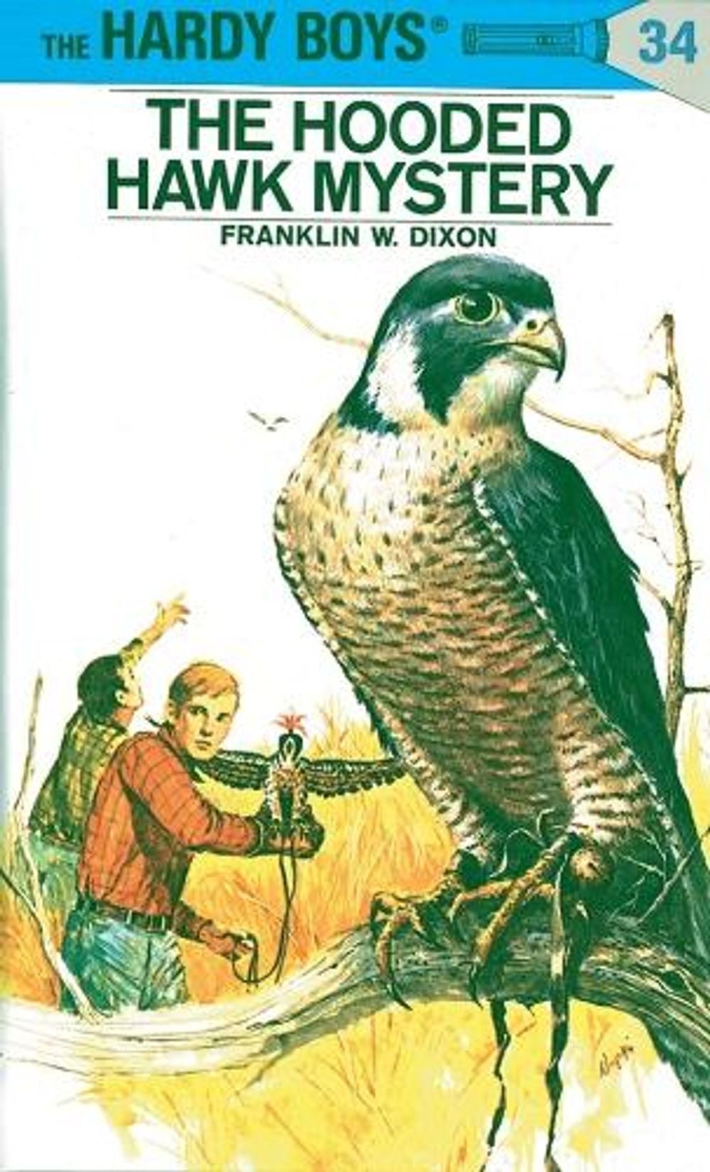 Hardy Boys 34: The Hooded Hawk Mystery by Franklin W. Dixon - ISBN: 9780448089348