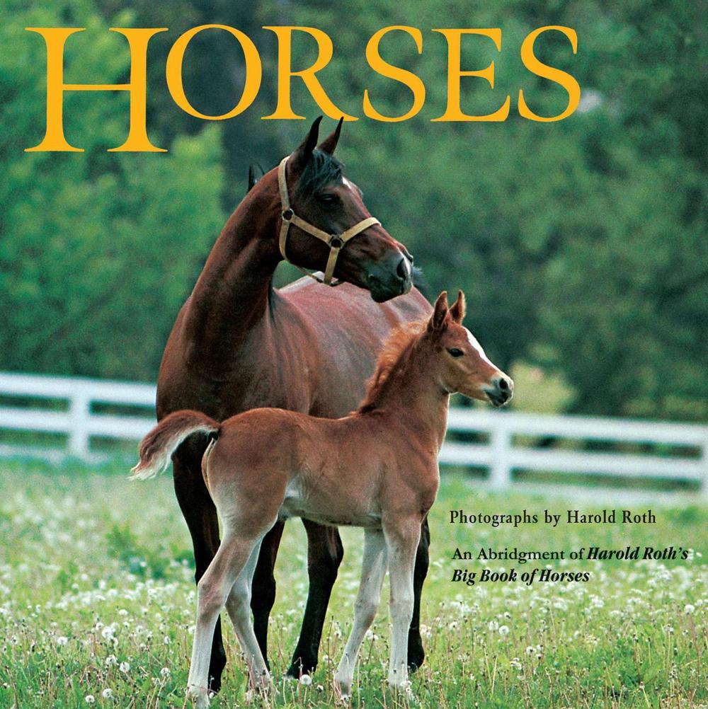Horses by Laura Driscoll - ISBN: 9780448417356