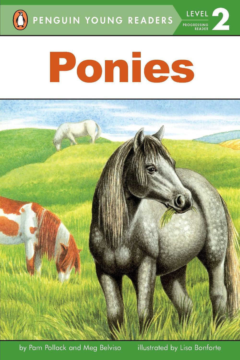 Ponies by Pam Pollack - ISBN: 9780448425245