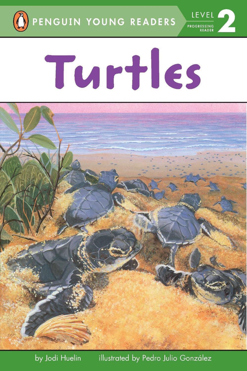 Turtles by Jodi Huelin - ISBN: 9780448431178