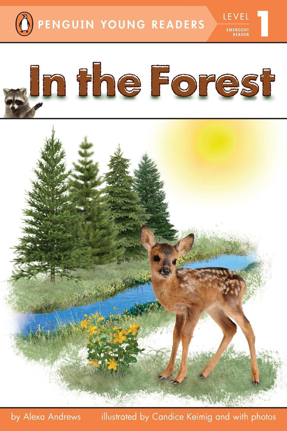 In the Forest by Alexa Andrews - ISBN: 9780448467191