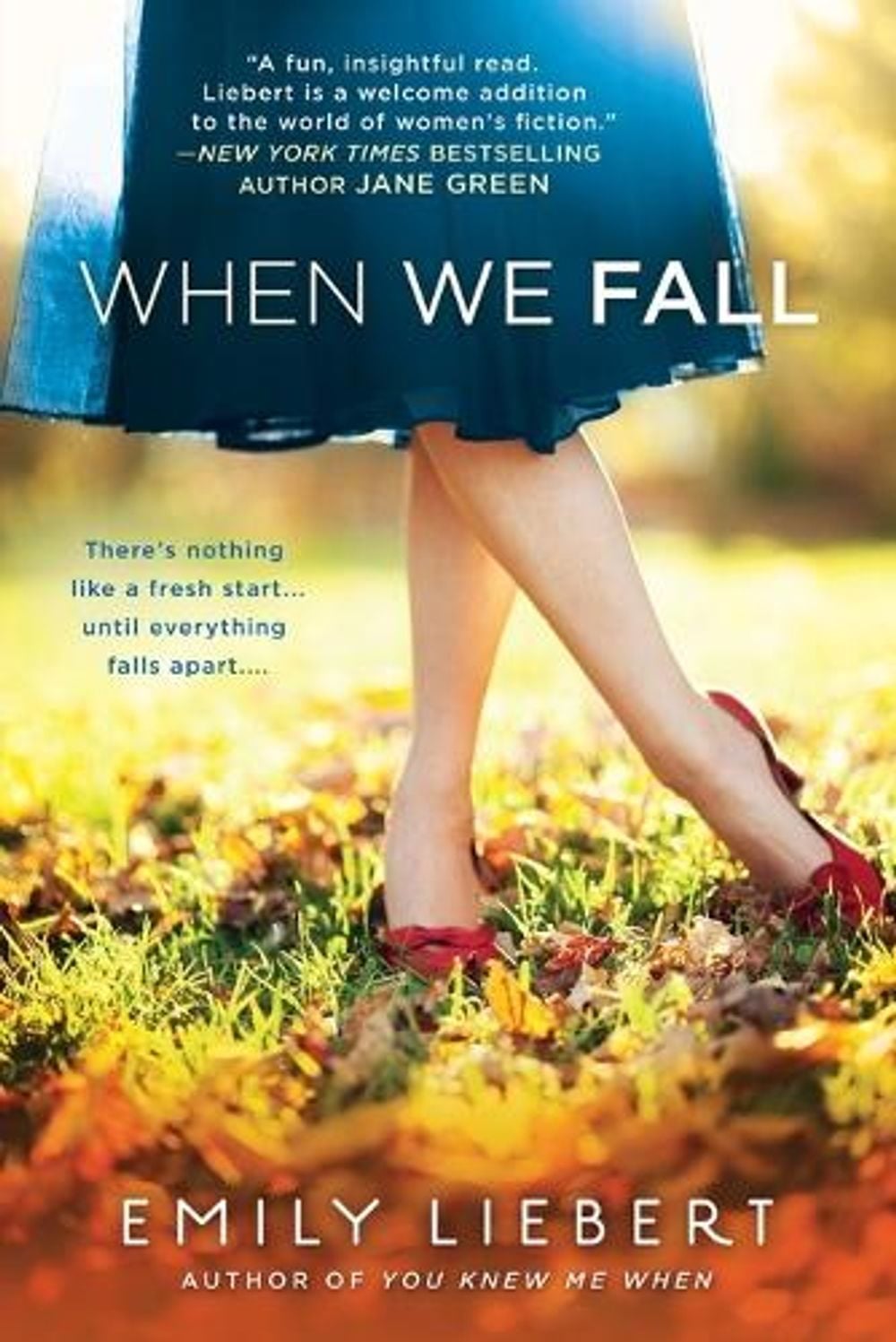 When We Fall by Emily Liebert - ISBN: 9780451419453