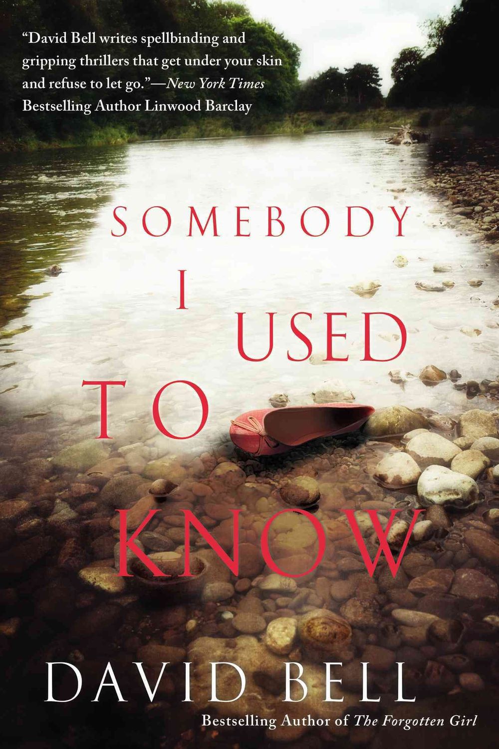 Somebody I Used to Know by David Bell - ISBN: 9780451474209