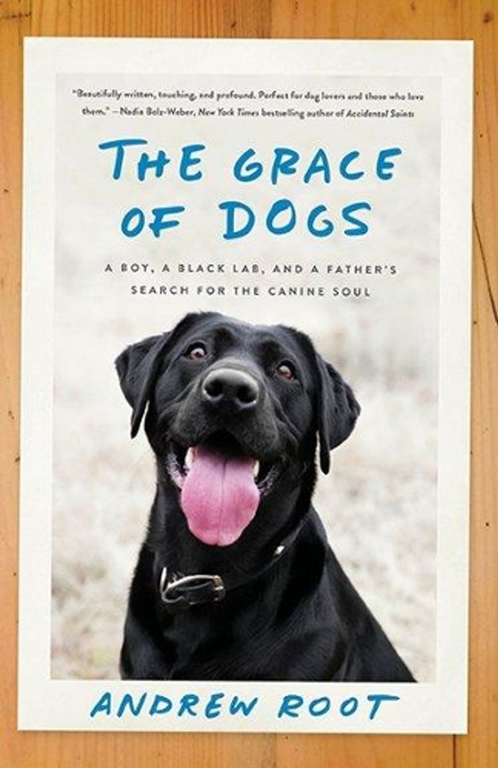 The Grace of Dogs by Andrew Root - ISBN: 9780451497611