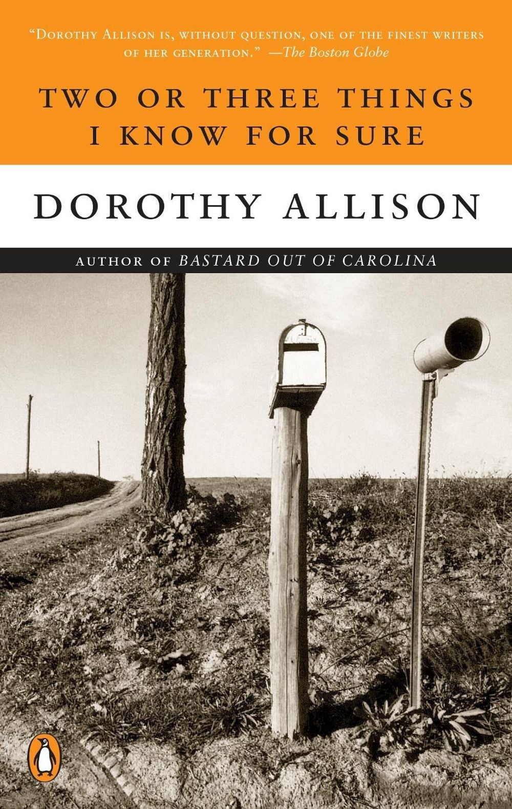 Two or Three Things I Know for Sure by Dorothy Allison - ISBN: 9780452273405