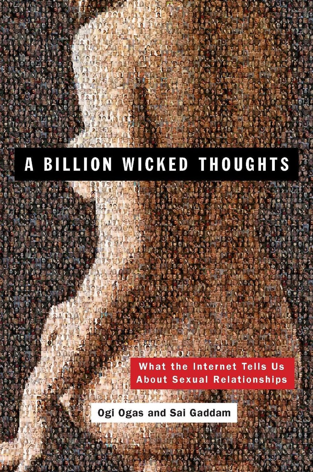 A Billion Wicked Thoughts by Ogi Ogas - ISBN: 9780452297876
