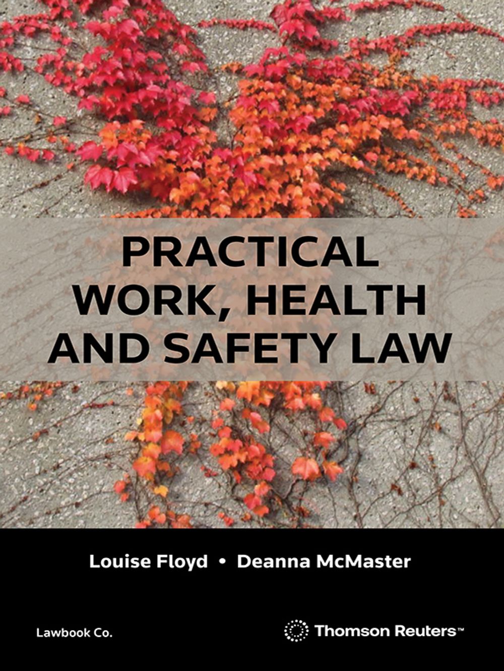 Practical Work Health and Safety by Deanna McMaster - ISBN: 9780455249568