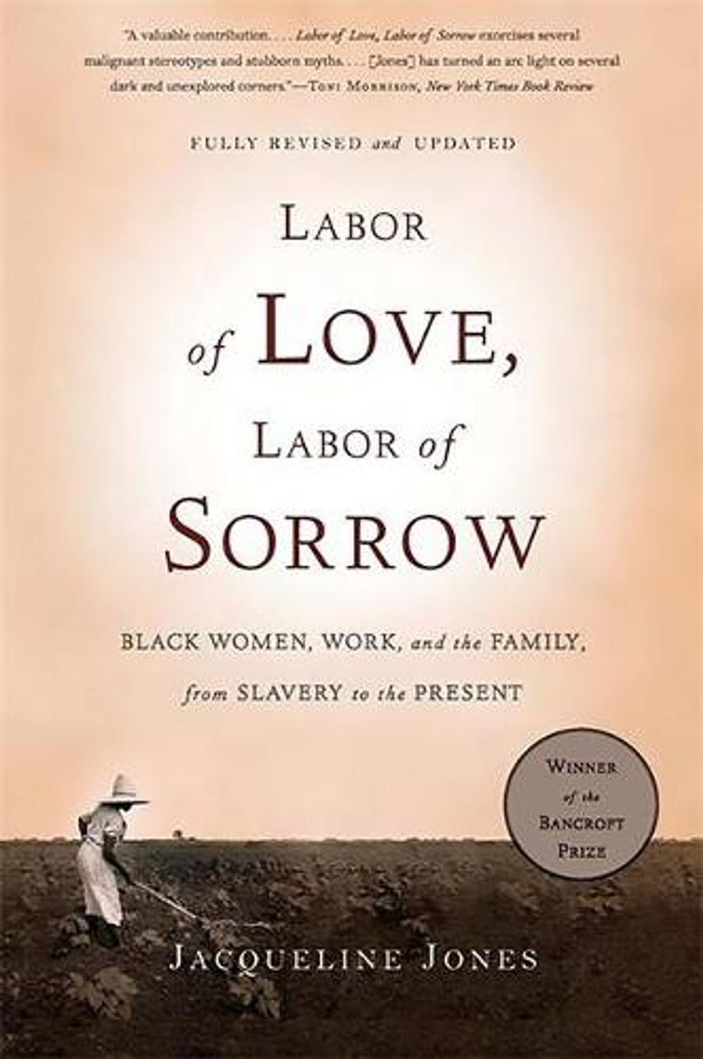 Labor of Love, Labor of Sorrow: Black Women, Work, and the Family, from Slavery to the Present by Jacqueline Jones - ISBN: 9780465018819