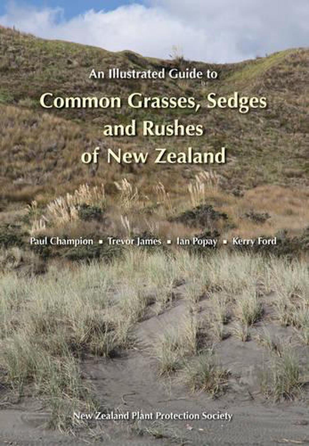 An Illustrated Guide to Common Grasses, Sedges and Rushes of New Zealand, 9780473216603