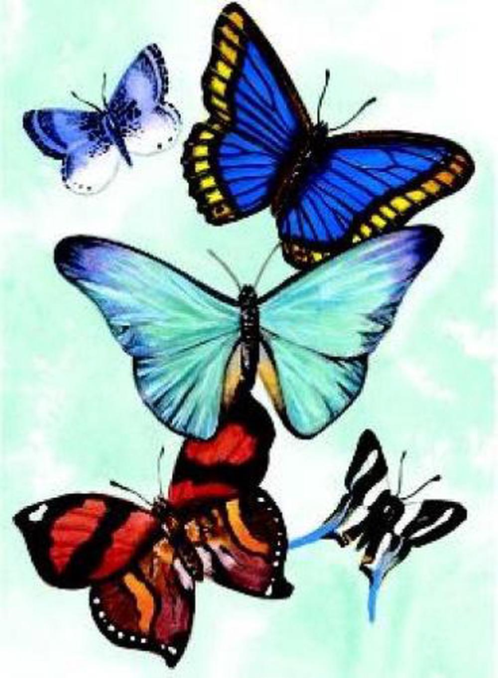 Sovak Sovak Butterfly Notebook, 9780486413013