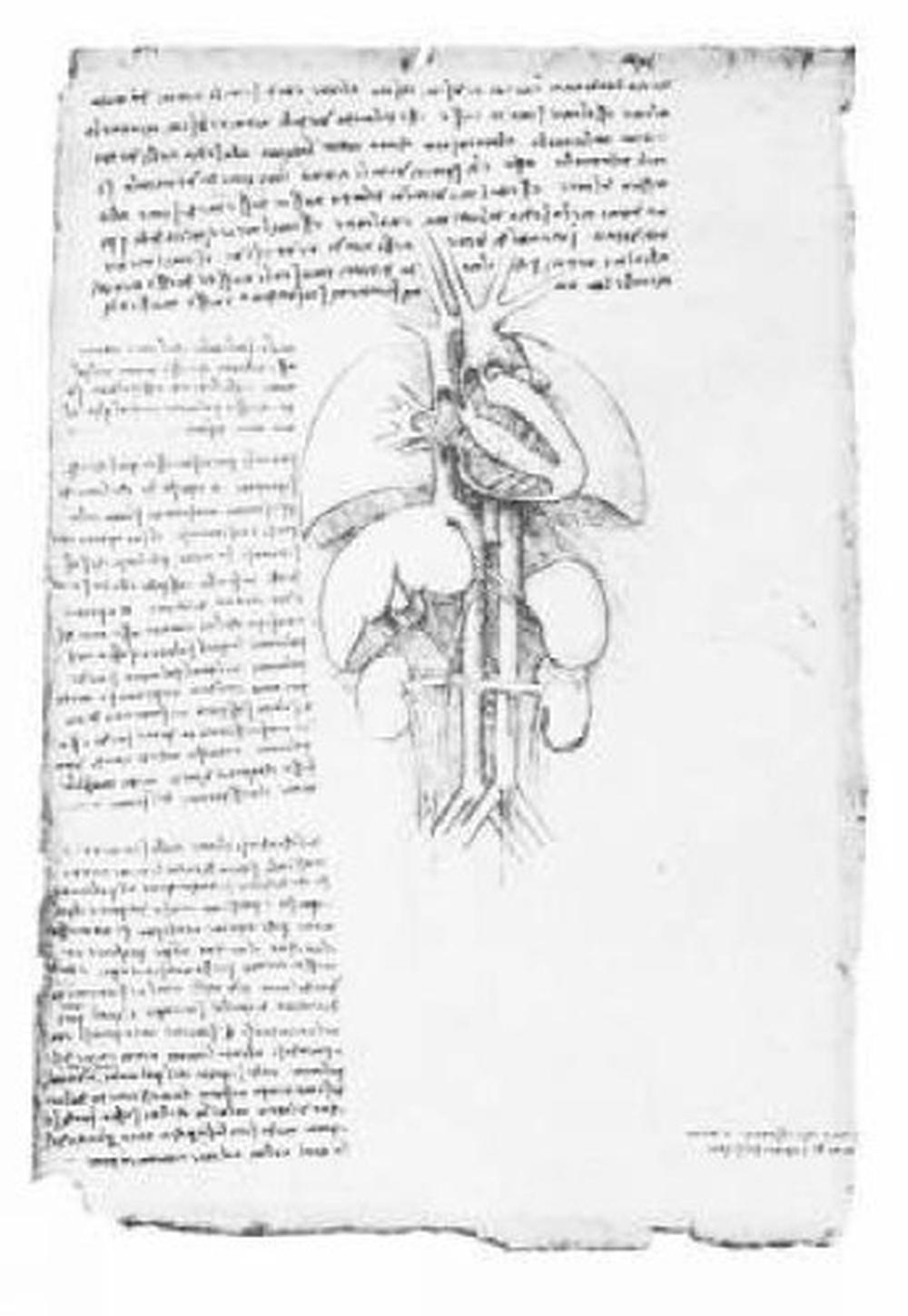 Leonardo's Anatomical Drawings, 9780486438627