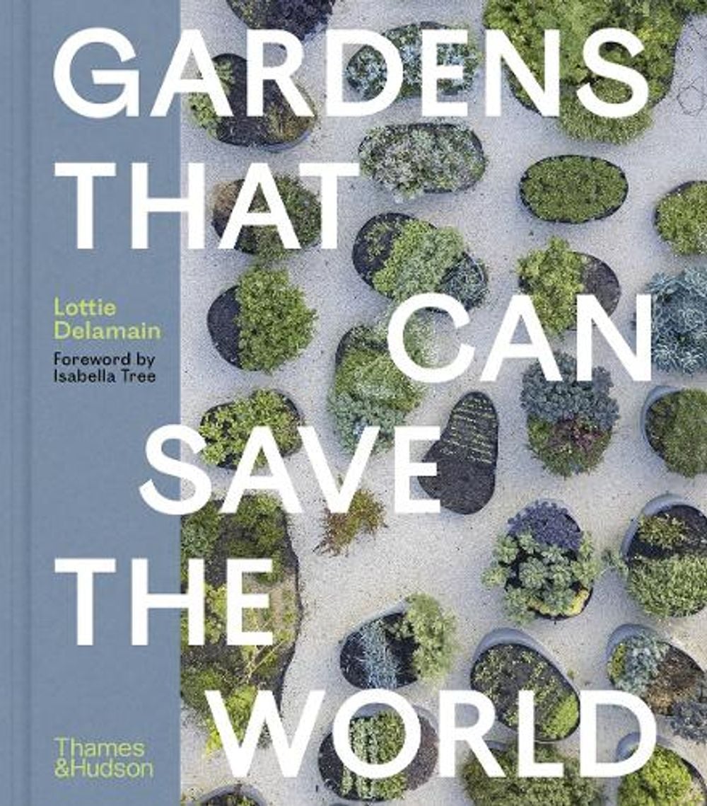 Gardens That Can Save the World by Lottie Delamain - ISBN: 9780500028742