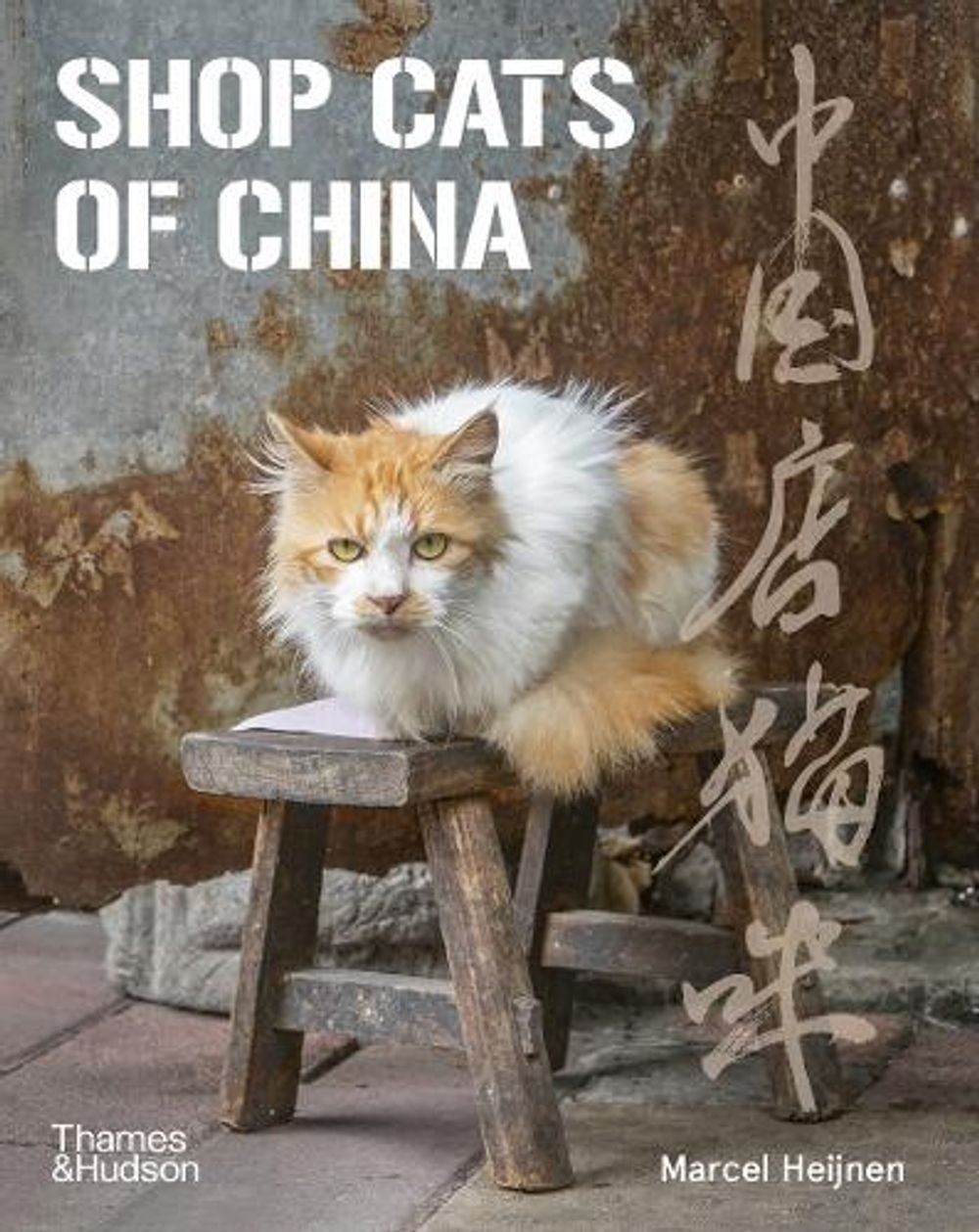 Shop Cats of China by Marcel Heijnen - ISBN: 9780500296110