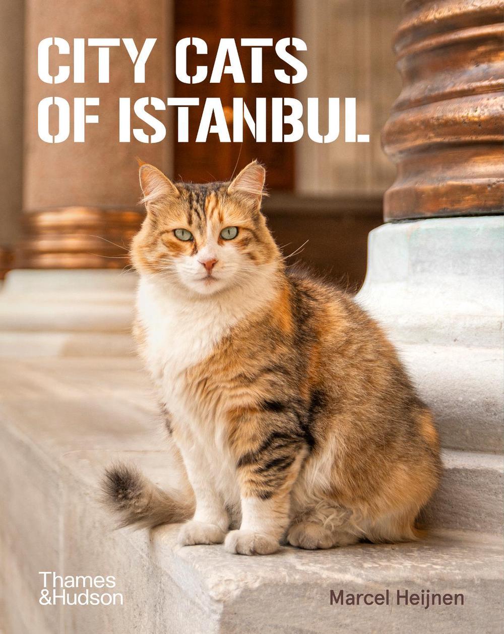 City Cats of Istanbul, 9780500298411