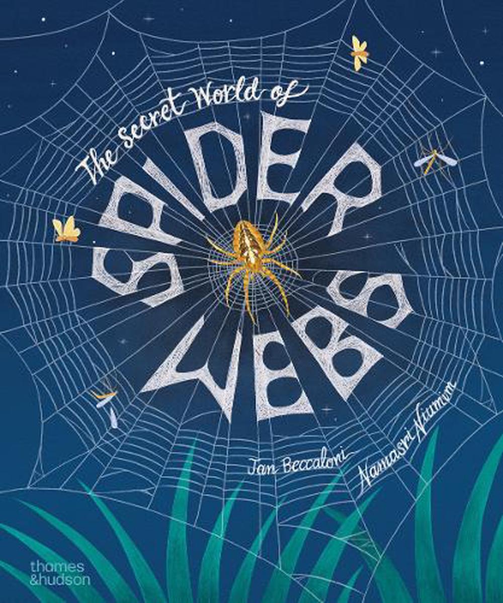 Cover of The Secret World of Spider Webs