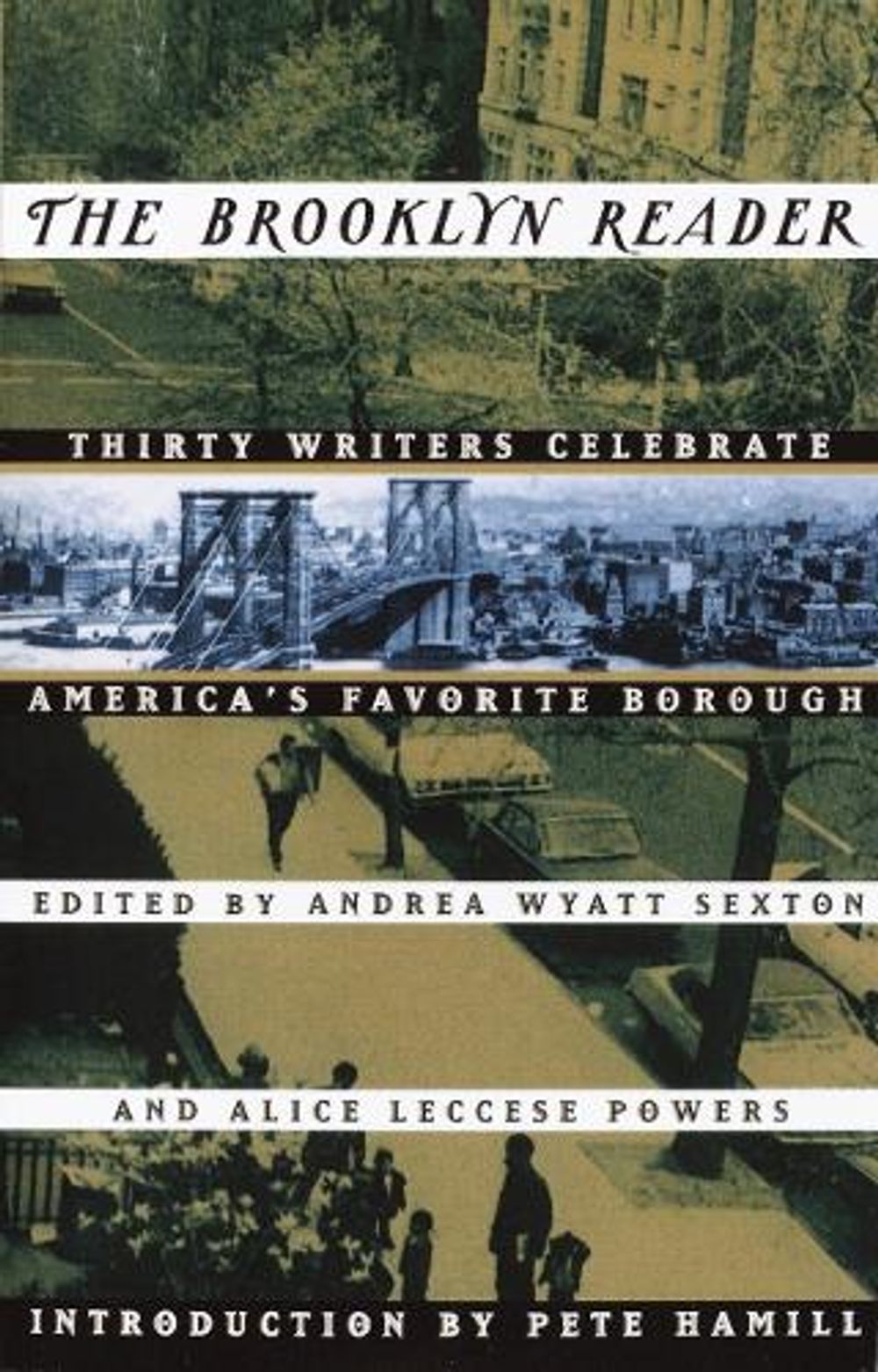 The Brooklyn Reader by Andrea Wyatt - ISBN: 9780517883792