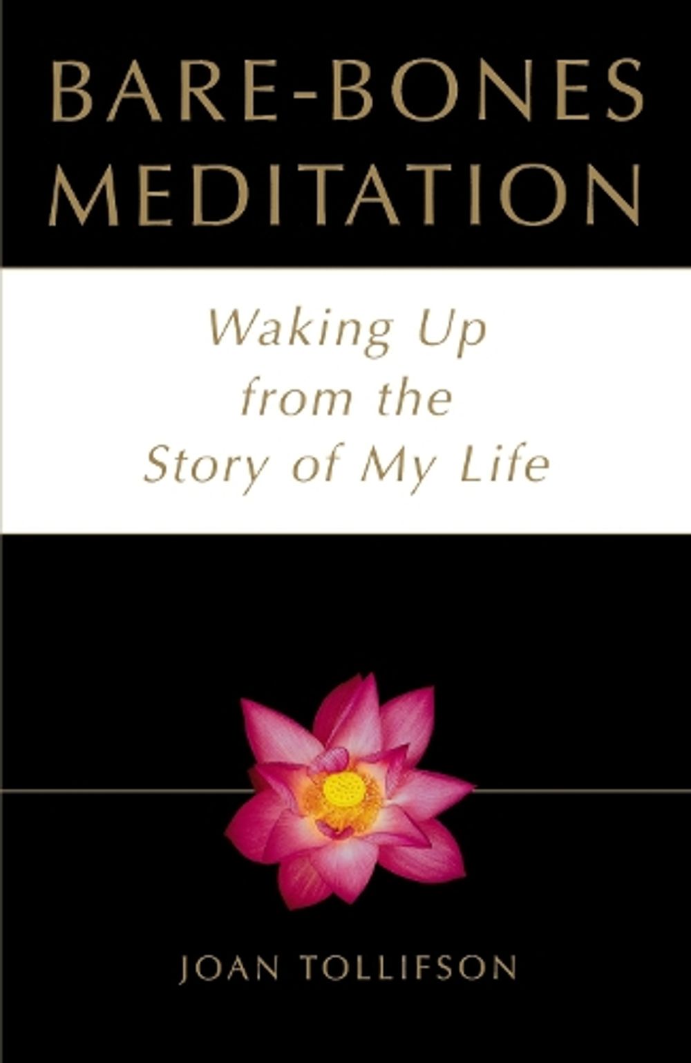 Bare-Bones Meditation by Joan Tollifson - ISBN: 9780517887929
