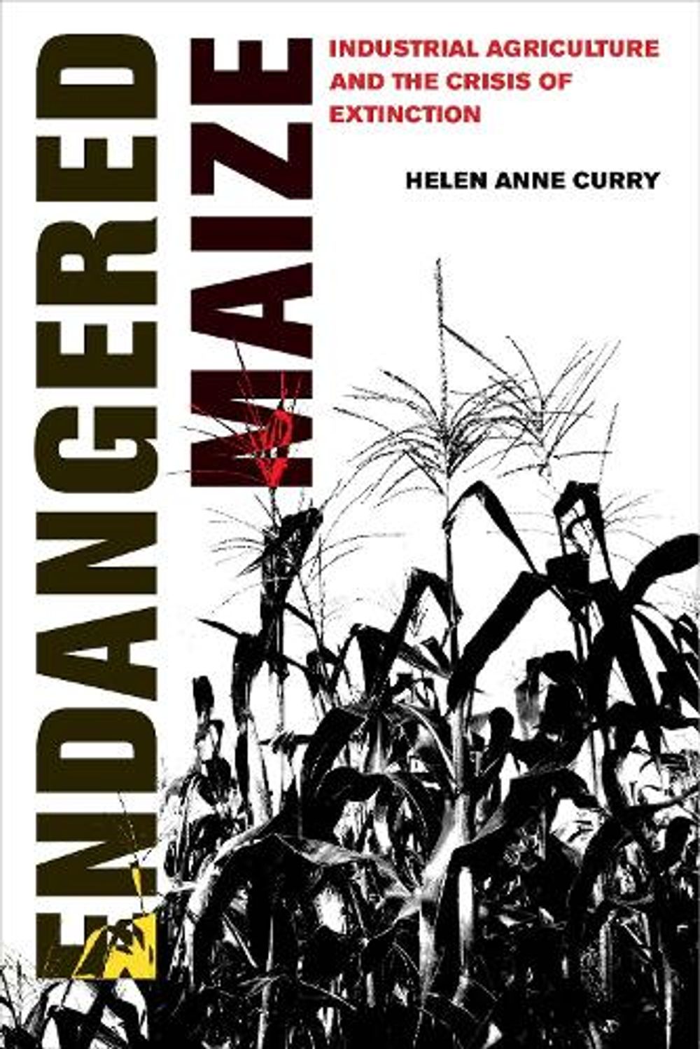 Endangered Maize by Helen Anne Curry - ISBN: 9780520307698