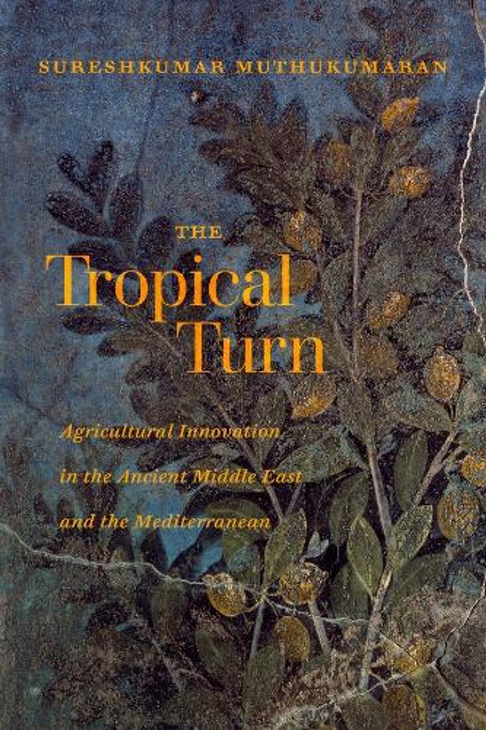 The Tropical Turn by Sureshkumar Muthukumaran - ISBN: 9780520390843