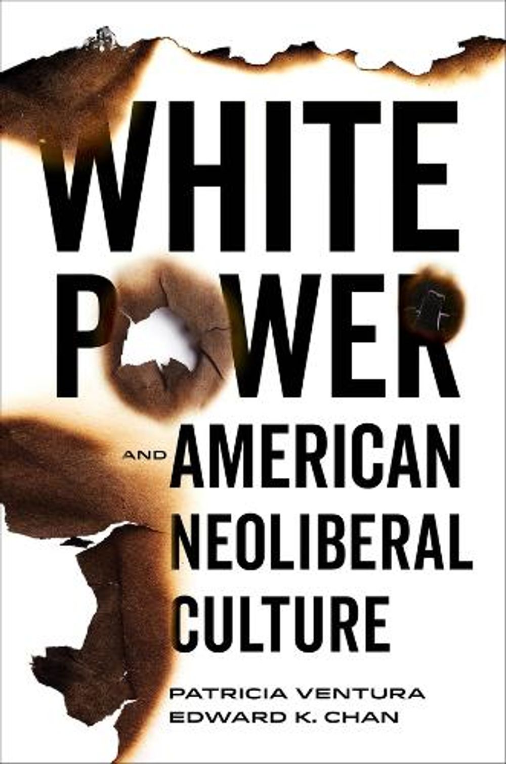White Power and American Neoliberal Culture by Patricia Ventura - ISBN: 9780520392793