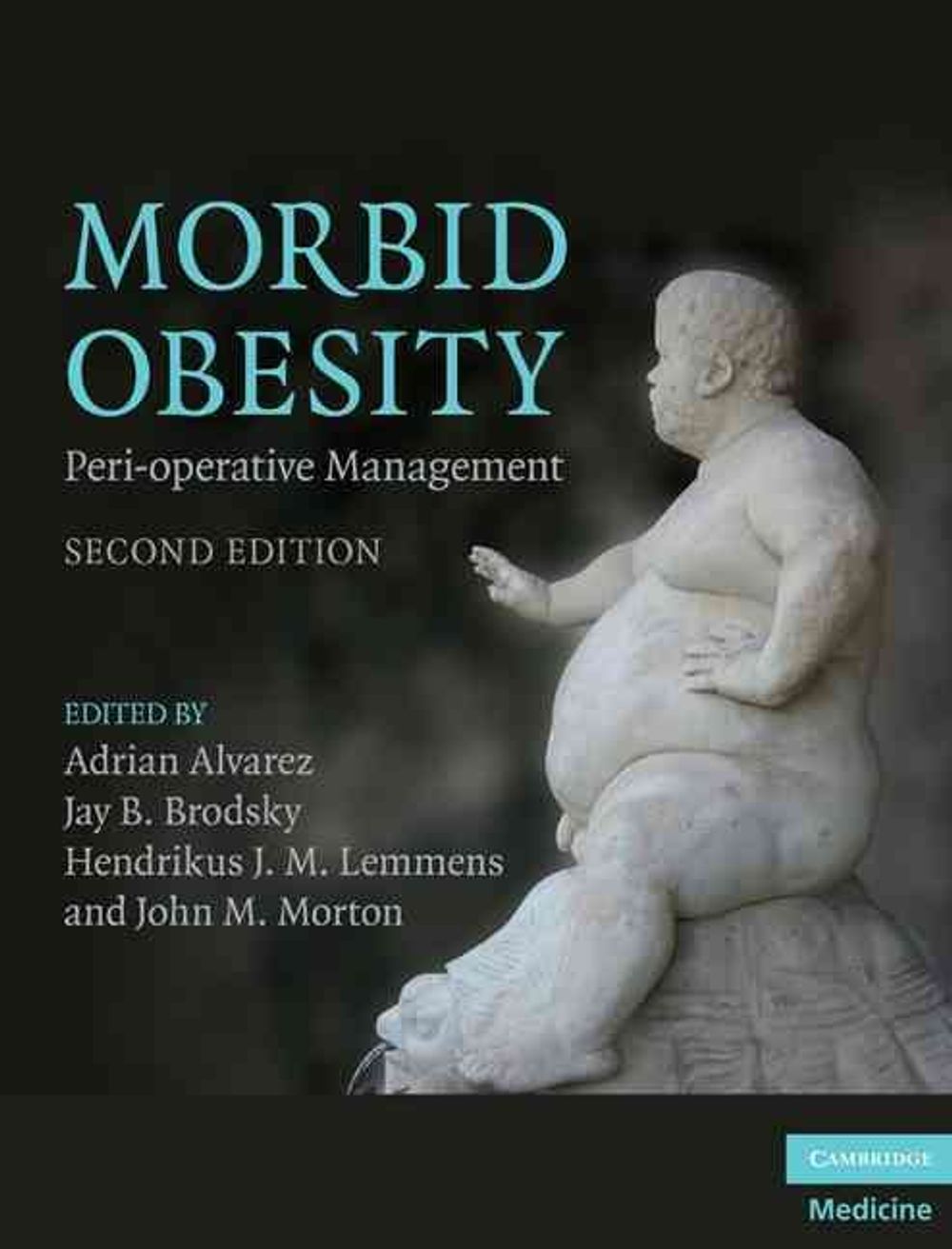 Morbid Obesity by Adrian Alvarez - ISBN: 9780521518840