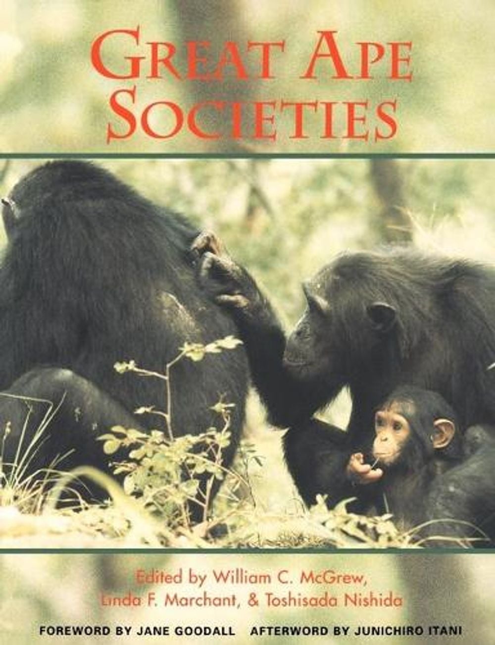 Great Ape Societies by William C. McGrew - ISBN: 9780521555364