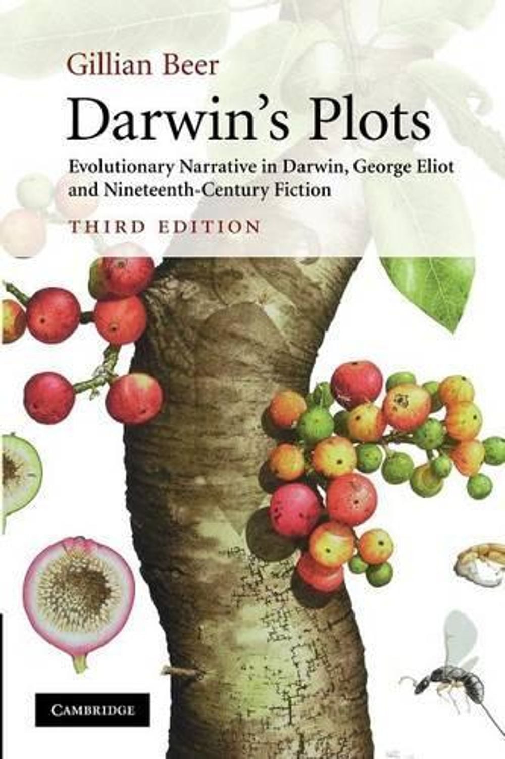 Darwin's Plots by Gillian Beer - ISBN: 9780521743617