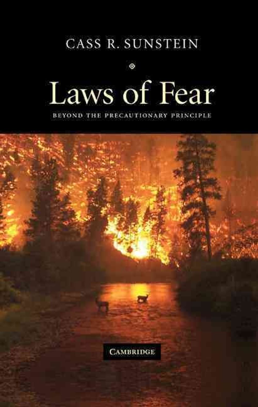 Laws of Fear by Cass R. Sunstein, Hardcover, 9780521848237 | Buy online ...