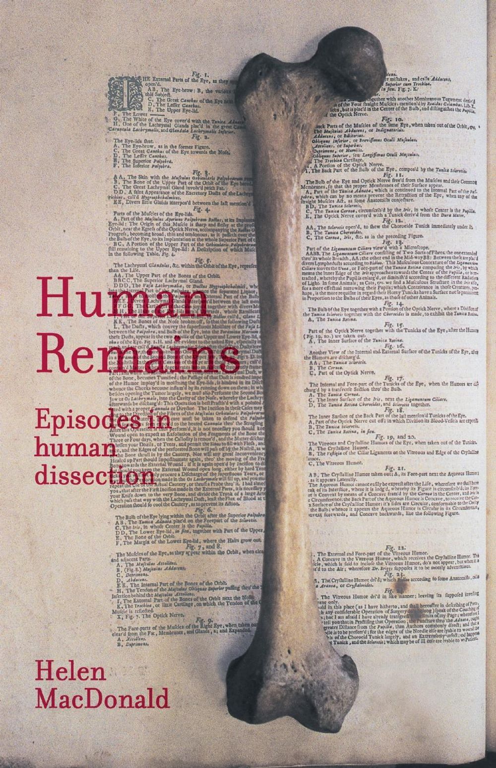 Human Remains by Helen Patricia MacDonald - ISBN: 9780522851571