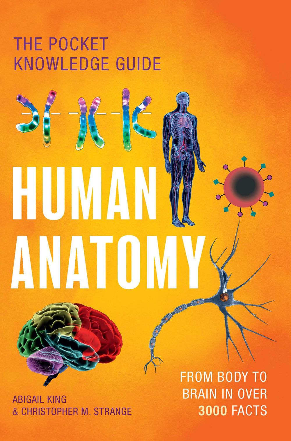 Human Anatomy by Abigail King - ISBN: 9780522882896