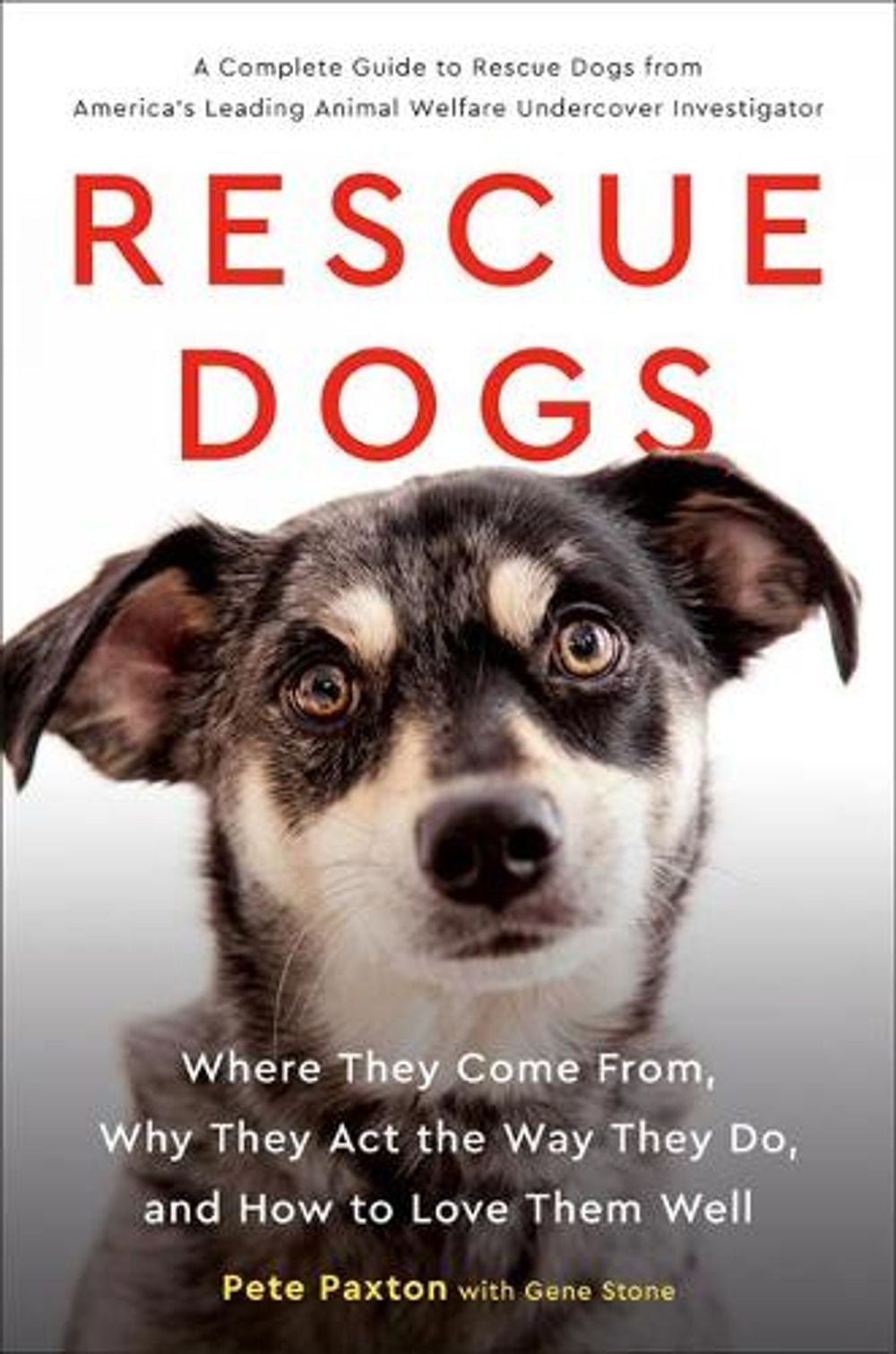 Rescue Dogs by Pete Paxton - ISBN: 9780525540359