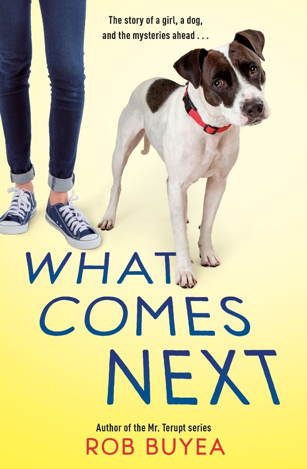 What Comes Next by Rob Buyea - ISBN: 9780525648055