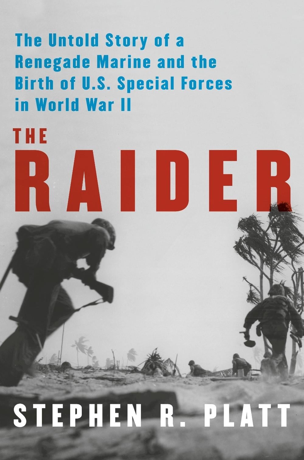 The Raider by Stephen R. Platt - ISBN: 9780525658016
