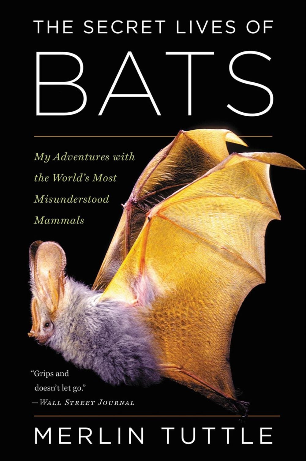 The Secret Lives of Bats by Merlin Tuttle - ISBN: 9780544815599