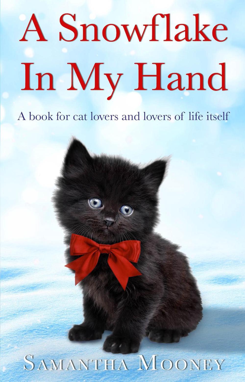 A Snowflake In My Hand by Samantha Mooney - ISBN: 9780552167796