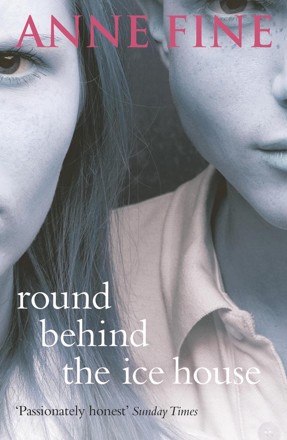 Round Behind The Ice House by Anne Fine - ISBN: 9780552552684
