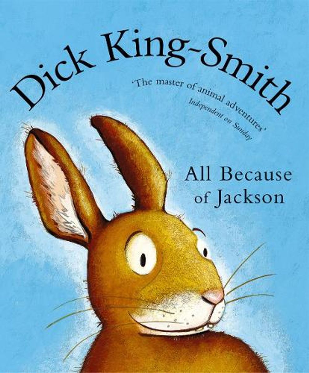 All Because of Jackson by Dick King-Smith - ISBN: 9780552554299